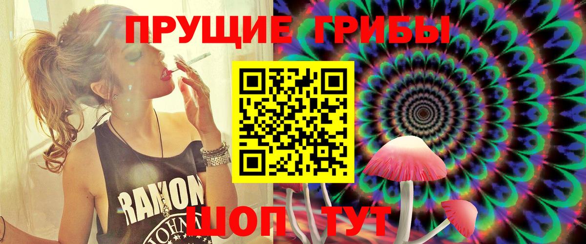 Псилоцибиновые грибы прущие грибы Кондопога