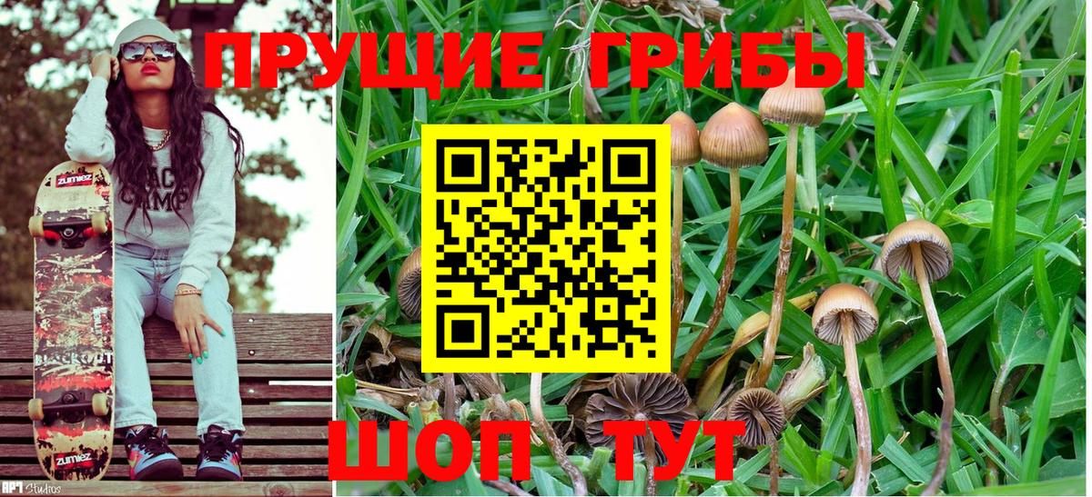 Галлюциногенные грибы MAGIC MUSHROOMS  Вход с VPN  Кондопога 