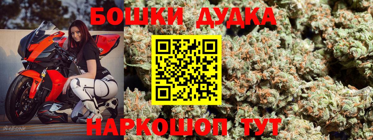 Бошки марихуана сатива  Вход с VPN  Кондопога  Каннабис сатива  Бошки Шишки Bruce Banner 